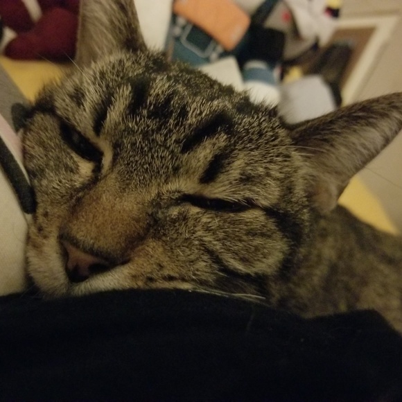 Meet your Posher, Ellen - Picture 1 of 2